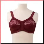 Doreena air bra